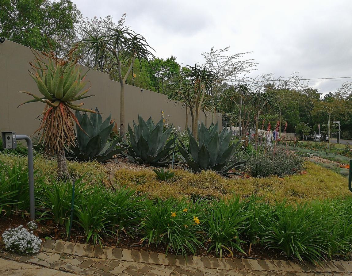 林朋路98号酒店 Pretoria-Noord 外观 照片